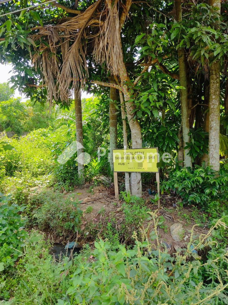 Dijual Tanah Residensial untuk Buat Kost di Depan Kampus UNJA Mendalo