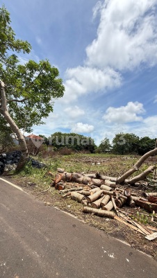 Tanah Kavling Luas 1 Are Dekat Kampus Unud Jimbaran — foto 2